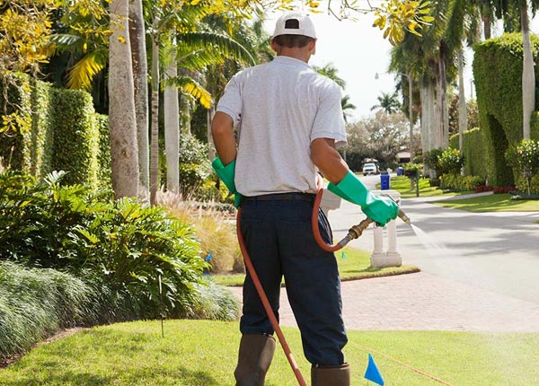 About Westville OH Pest Control